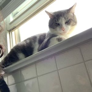 Meet your Posher, Julian